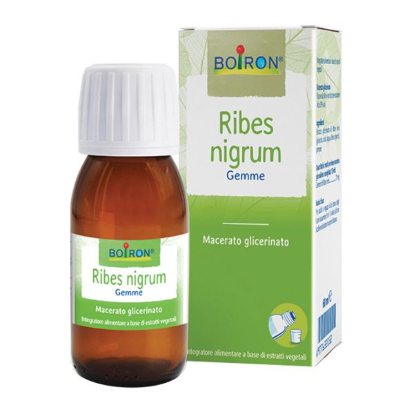 RIBES NIGRUM MACERATO GLICERICO 60 ML