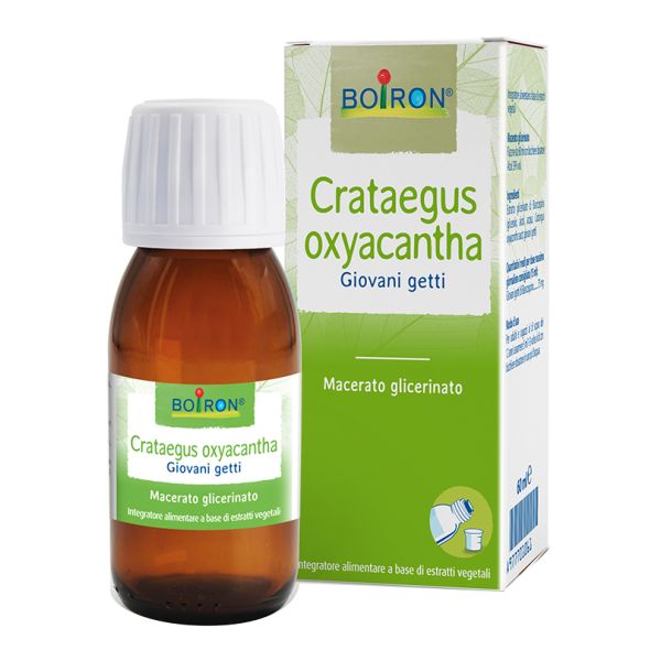 CRATAEGUS OXYACANTHA MACERATO GLICERICO 60 ML