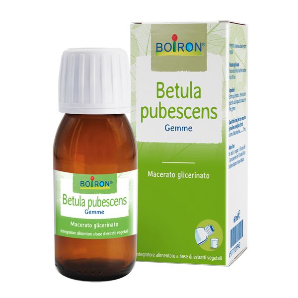 BETULA PUBESCENS 60ML  BOIRON