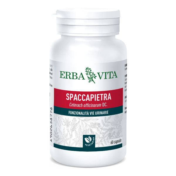 SPACCAPIETRA 60 CAPSULE