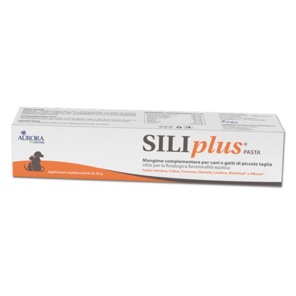 SILIPLUS PASTA 30 G