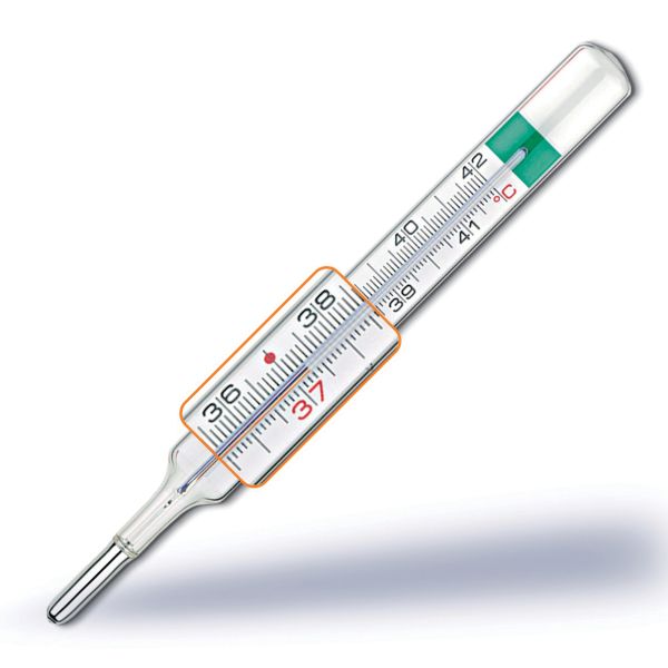 TERMOMETRO GALLIO VEDOECO PLUS