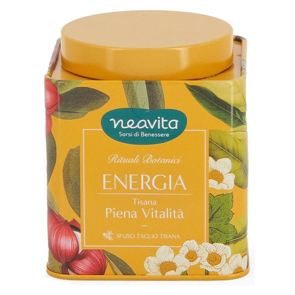 NEAVITA PIENA VITALITA' ENERGIA 75 G