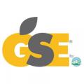 GSE