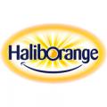 HALIBORANGE