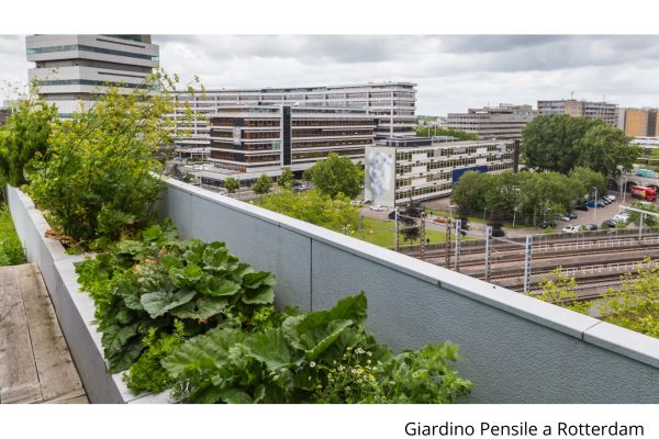 orti in terrazza