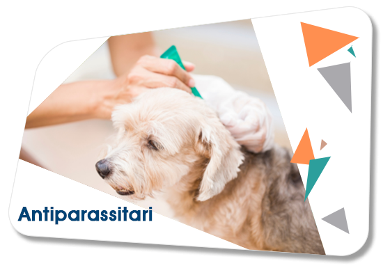 Offerte Antiparassitari per Cani e Gatti