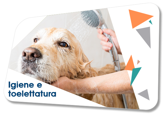 Prodotti per l'igiene di Cani e Gatti Vendita Online