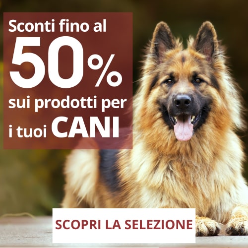 cani