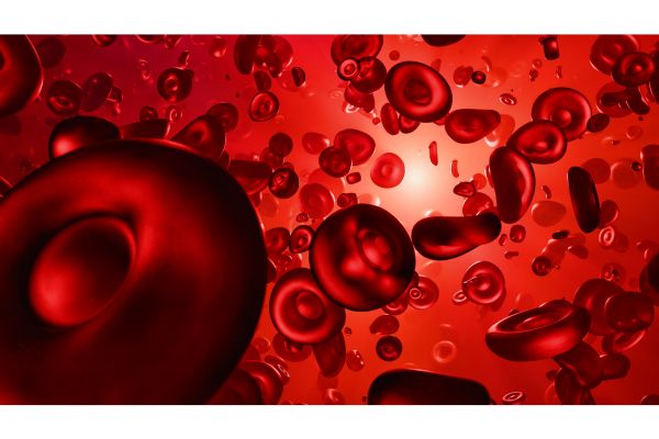 i benefici di assumere un integratore di omega-3 i benefici di assumere un integratore di omega-3