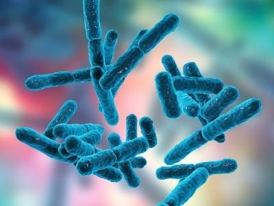 differenza fermenti lattici e probiotici